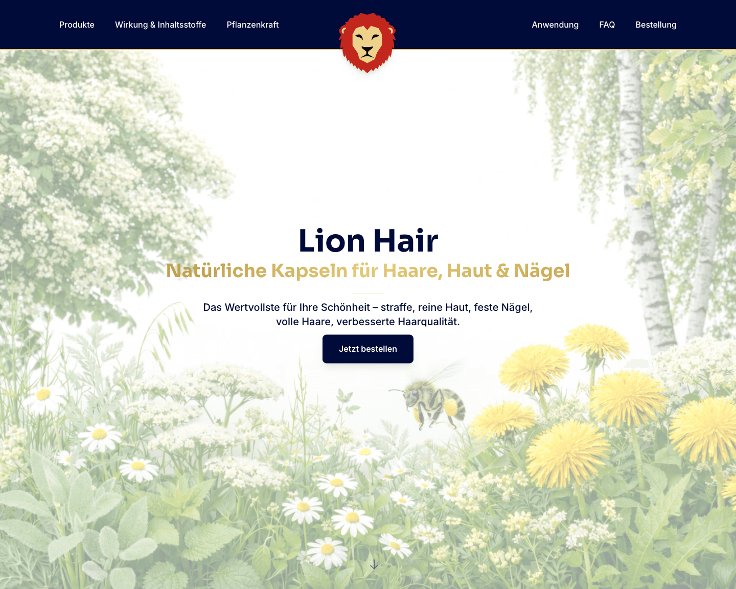 Design & Entwicklung